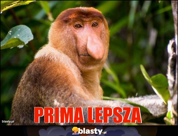 Prima lepsza