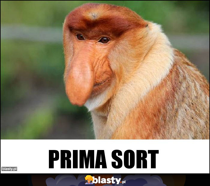 prima sort