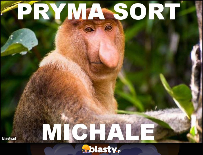 PRYMA sort