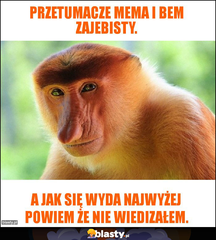 Przetumacze mema i bem zajebisty.