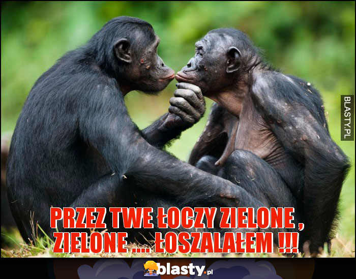 PRZEZ TWE ŁOCZY ZIELONE , ZIELONE .... ŁOSZALAŁEM !!!