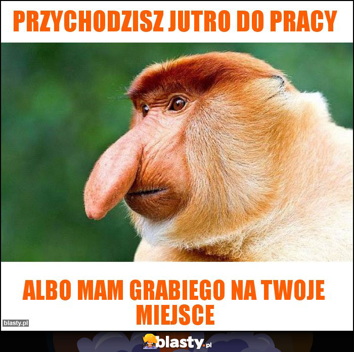 Przychodzisz jutro do pracy