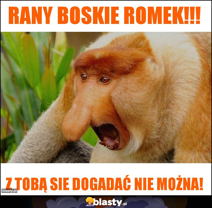 Rany boskie romek!!!