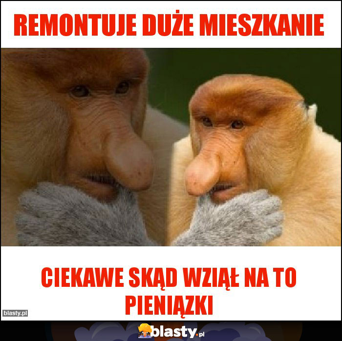 Remontuje duże mieszkanie