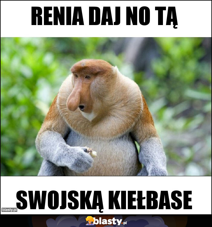 Renia daj no tą