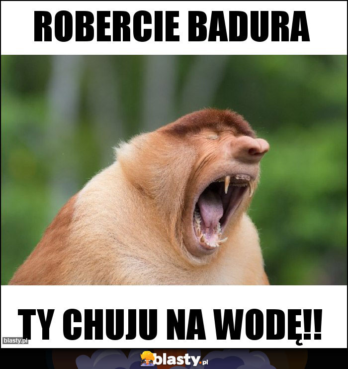 Robercie Badura