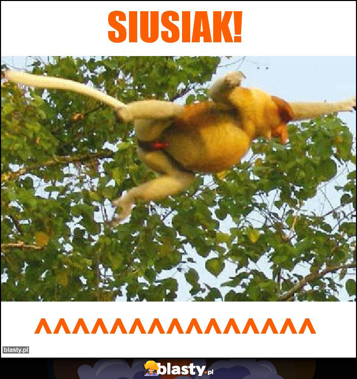 SIUSIAK!