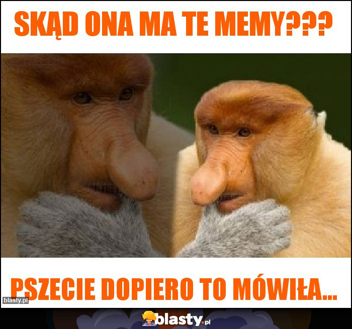 Skąd ona ma te memy???