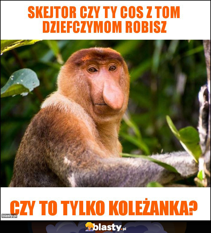 Skejtor czy ty cos z tom dziefczymom robisz