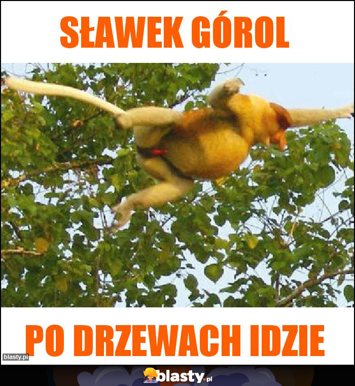 Sławek Górol