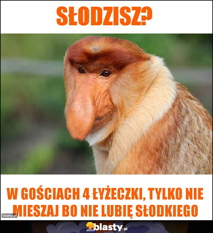 Słodzisz?