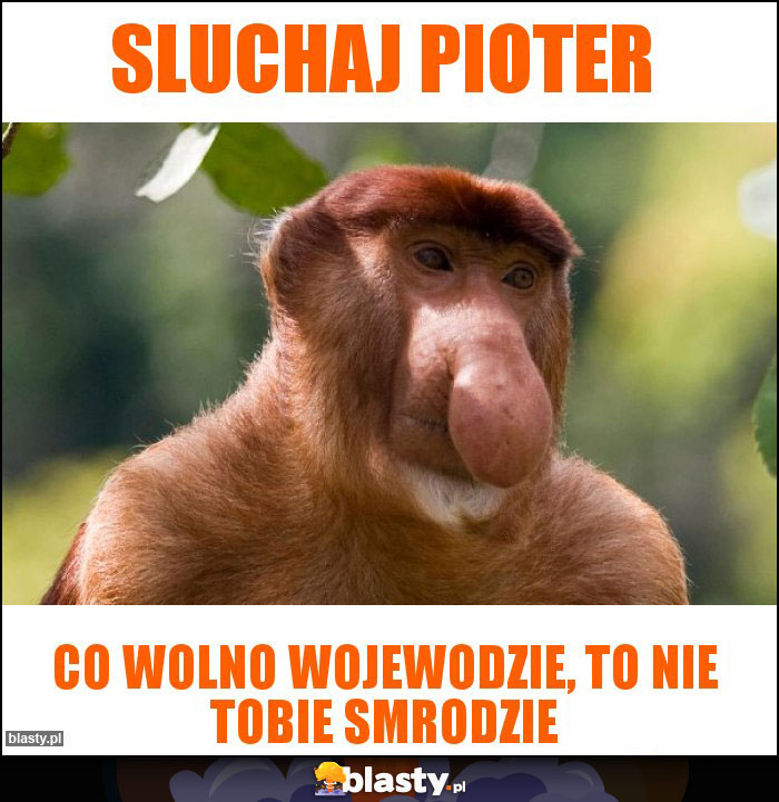 Sluchaj Pioter