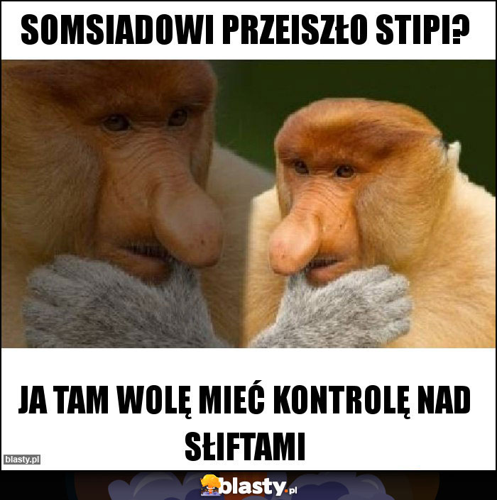 SOMSIADOWI PRZEISZŁO STIPI?