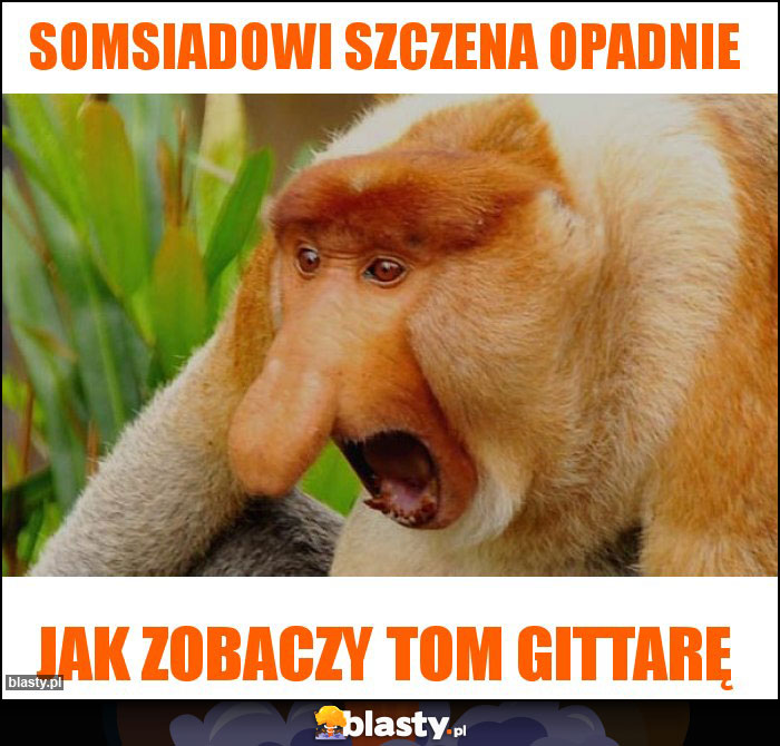 Somsiadowi szczena opadnie