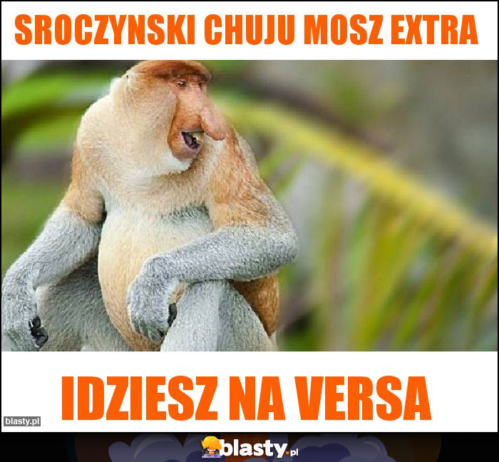 Sroczynski chuju mosz extra