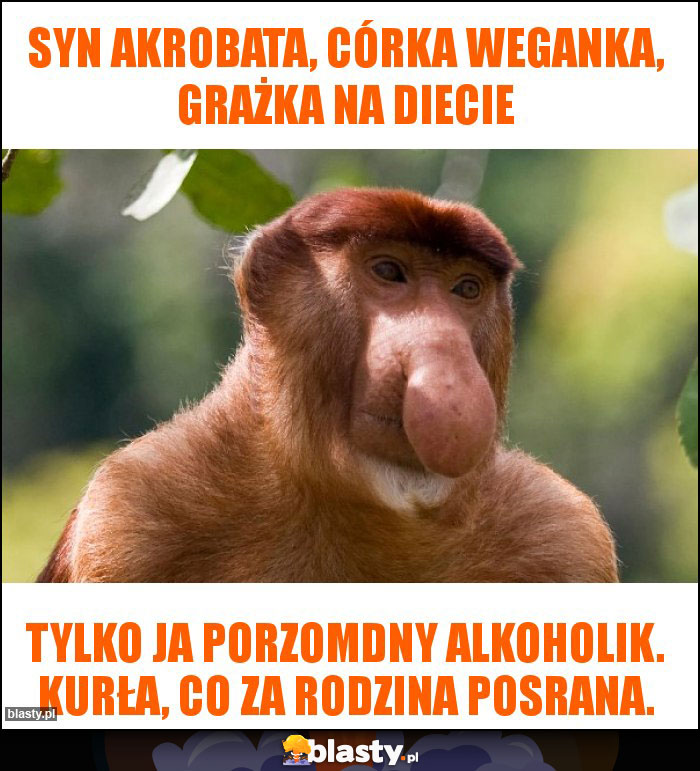 Syn akrobata, córka weganka, Grażka na diecie