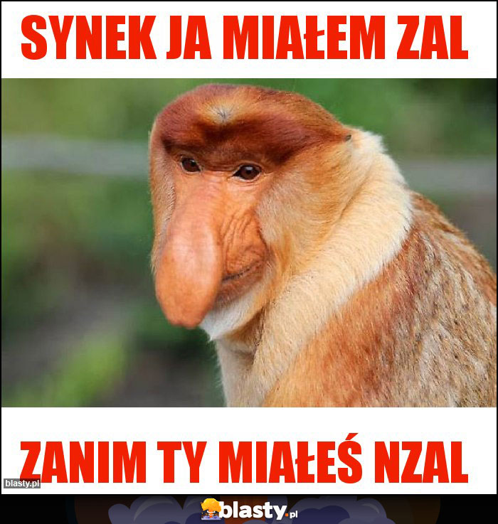 Synek ja miałem zal