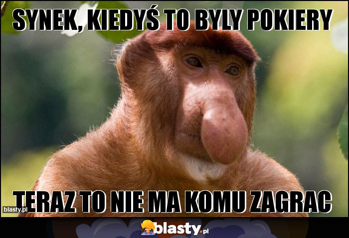 Synek, kiedyś to byly pokiery