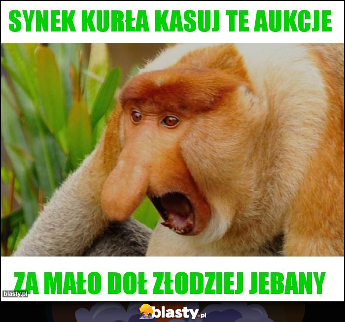 SYNEK KURŁA KASUJ TE AUKCJE