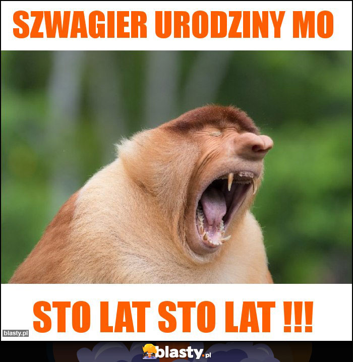 Szwagier urodziny mo