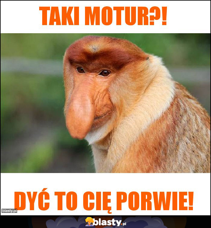 TAKI MOTUR?!