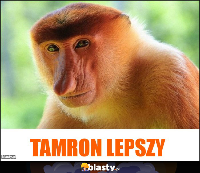 Tamron lepszy