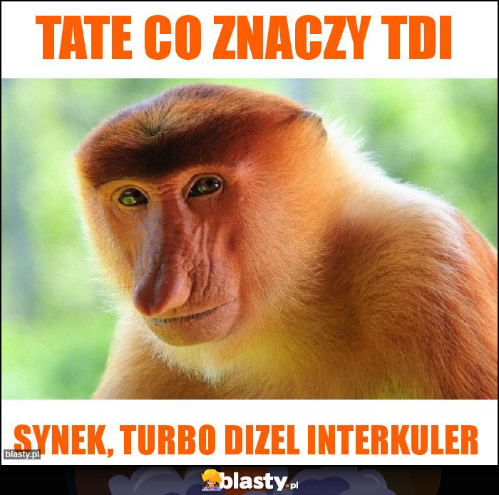 Tate co znaczy tdi