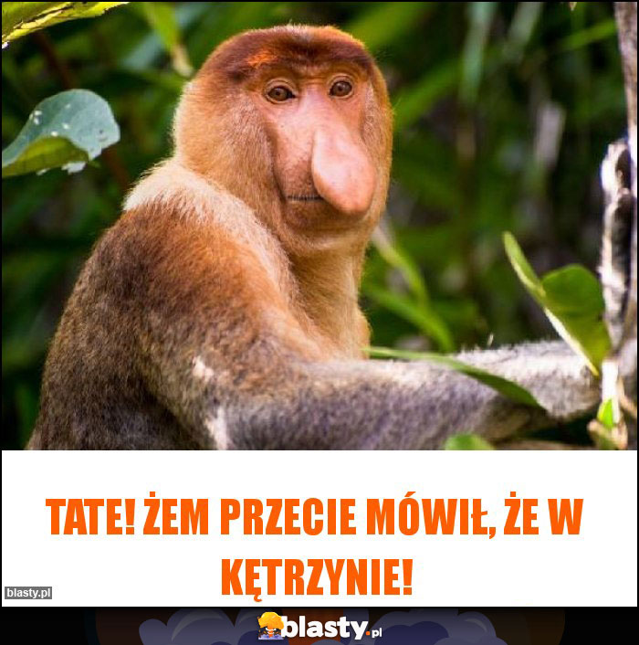 Tate! żem przecie mówił, że w Kętrzynie!