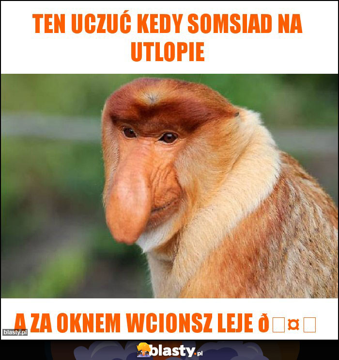 Ten uczuć kedy somsiad na utlopie