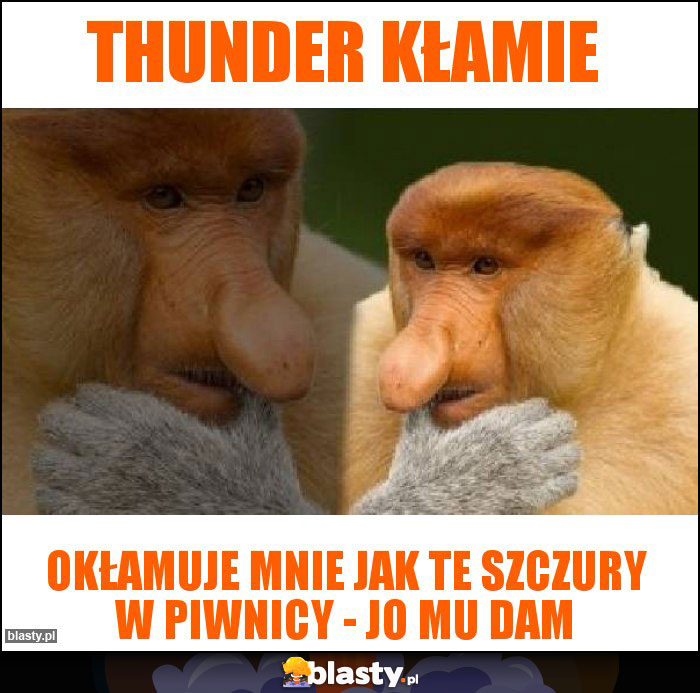 Thunder kłamie