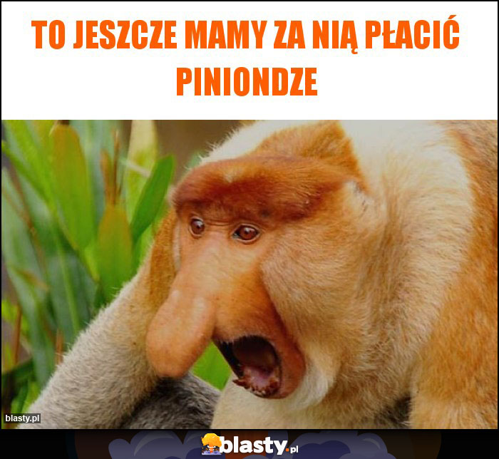 TO jeszcze mamy za nią płacić piniondze