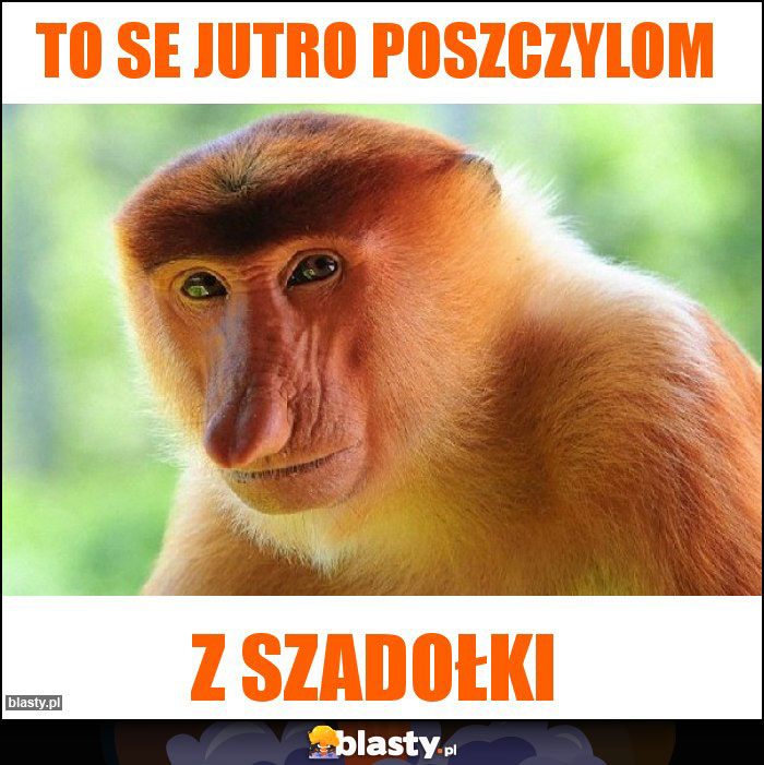 To se jutro poszczylom