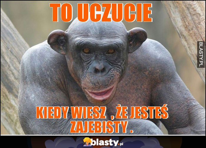 TO UCZUCIE