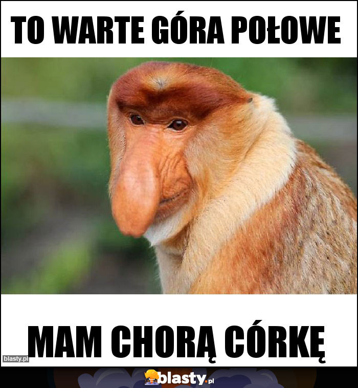 To warte góra połowe