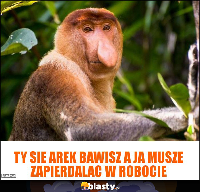 ty sie arek bawisz a ja musze zapierdalac w robocie