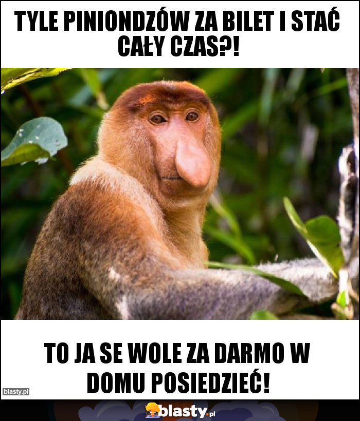 Tyle piniondzów za bilet i stać cały czas?!