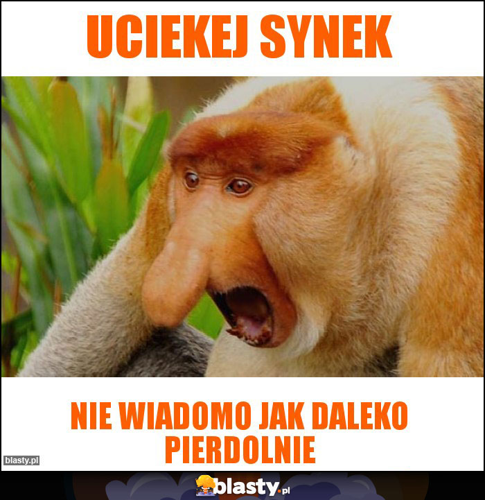 Uciekej synek