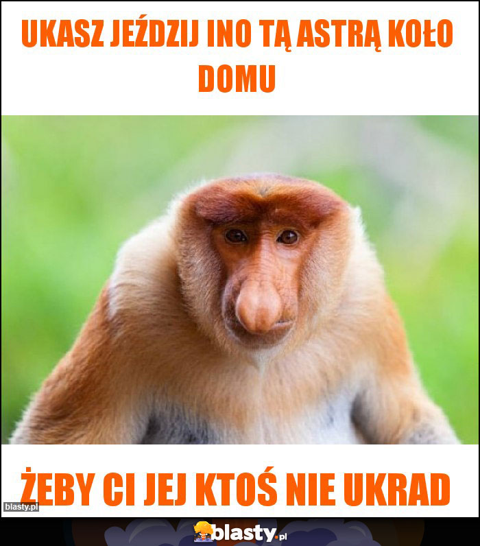 Ukasz jeździj ino tą Astrą koło domu