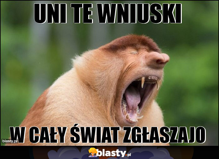 UNI TE WNIUSKI