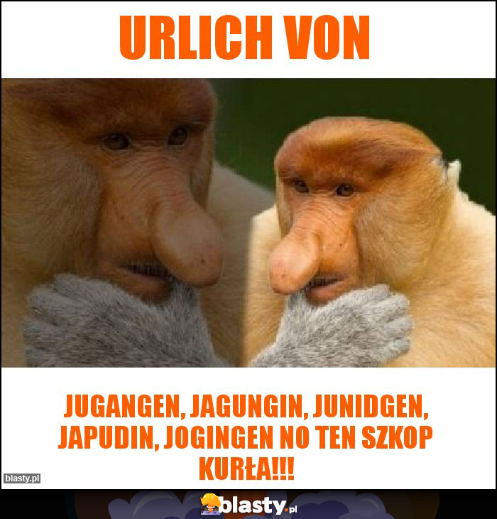 Urlich von