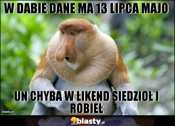 W DABIE DANE MA 13 LIPCA MAJO