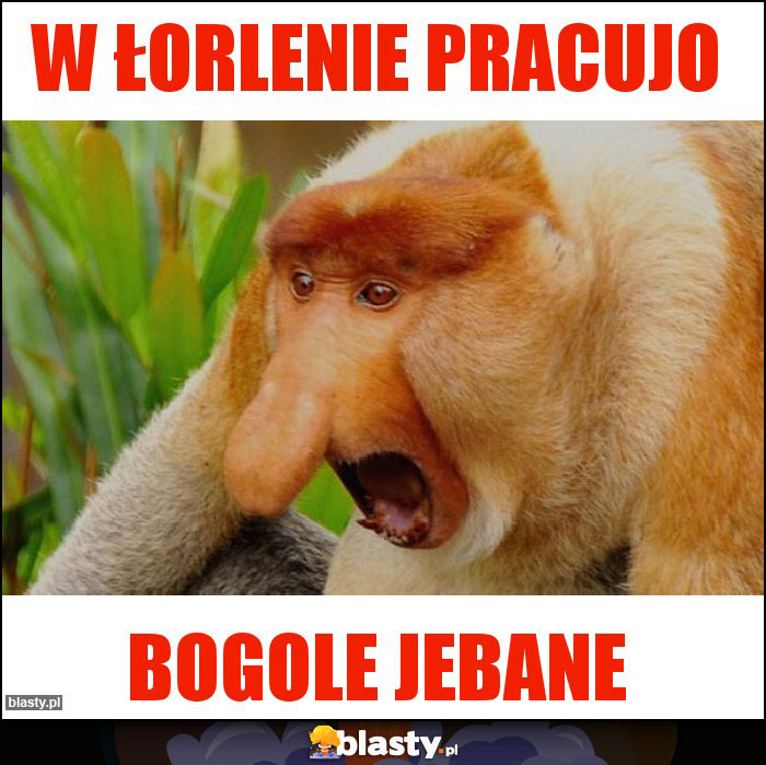 W ŁORLENIE PRACUJO