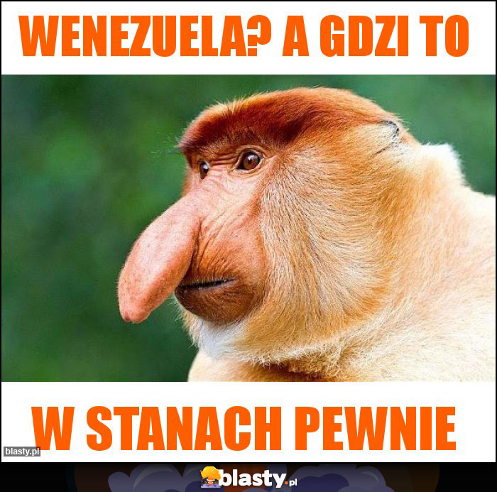 WENEZUELA? A gdzi to