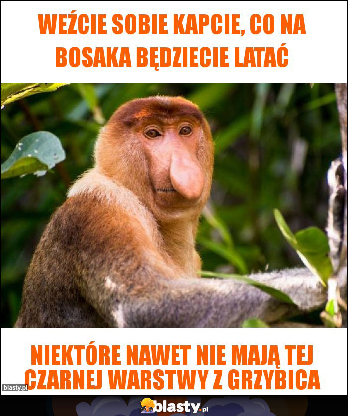 Weźcie sobie kapcie, co na bosaka będziecie latać