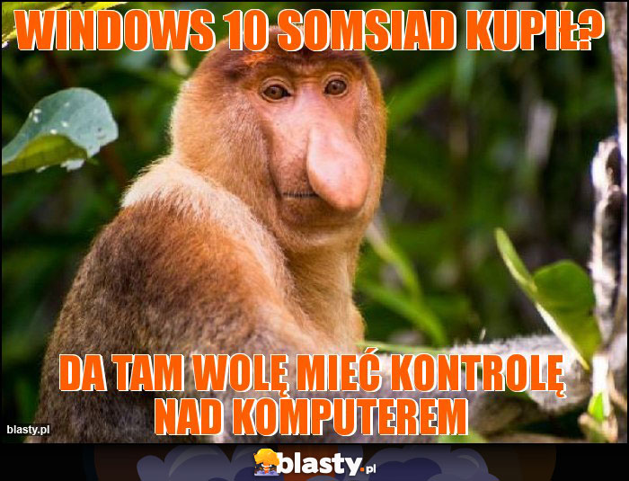 Windows 10 somsiad kupił?