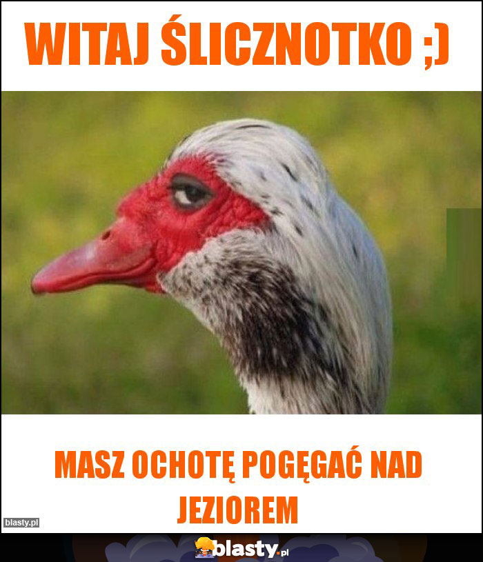 Witaj Ślicznotko ;)