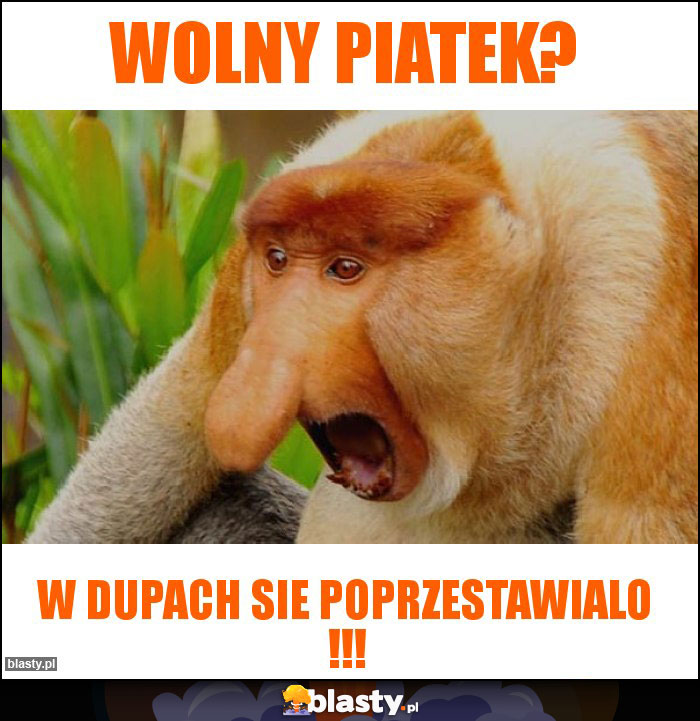 Wolny piatek?