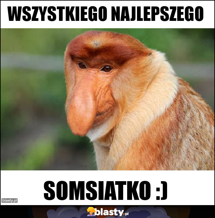 Wszystkiego najlepszego