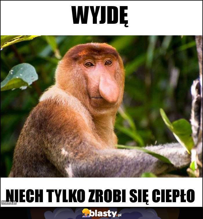 Wyjdę