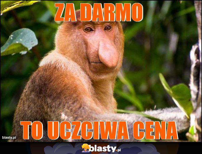 Za darmo